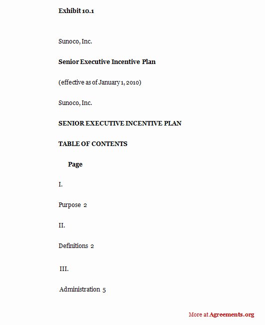 Performance Based Bonus Plan Template Inspirational Senior Executive Incentive Plan Sample Senior Executive