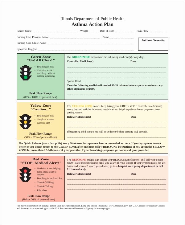 Personal Action Plan Template Fresh 13 Action Plan Examples