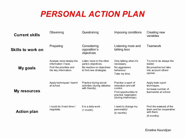 Personal Action Plan Template Inspirational Pap Template and Samples