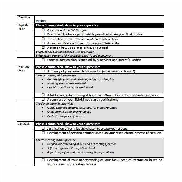 Personal Action Plan Template New Project Action Plan Template 11 Free Pdf Word format