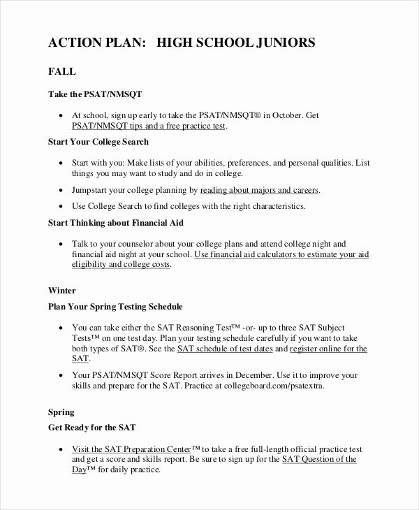 Personal Action Plan Template Unique Student Action Plan Template 8 Free Word Pdf format