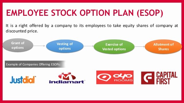 Phantom Stock Agreement Template Luxury Employee Stock Options Plan Example