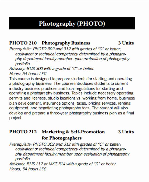 Photography Business Plan Template Elegant 29 Free Business Plan Templates
