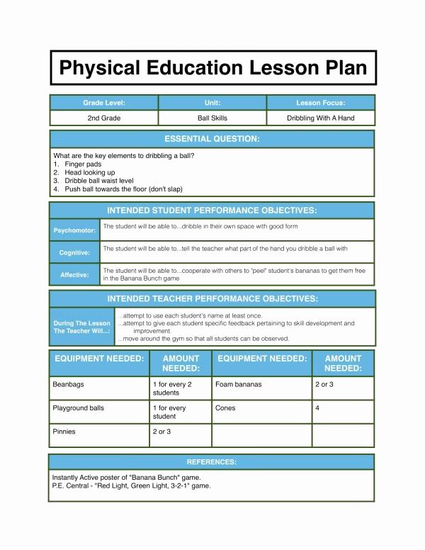 Phys Ed Lesson Plan Template Awesome 10 Physical Education Lesson Plan Samples Pdf Word