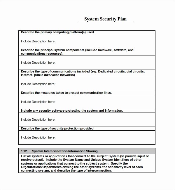 Physical Security Plan Template Unique 10 Security Plan Templates