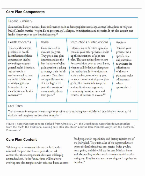 Plan Of Care Template Elegant 11 Basic Care Plan Template Word Pdf format Download
