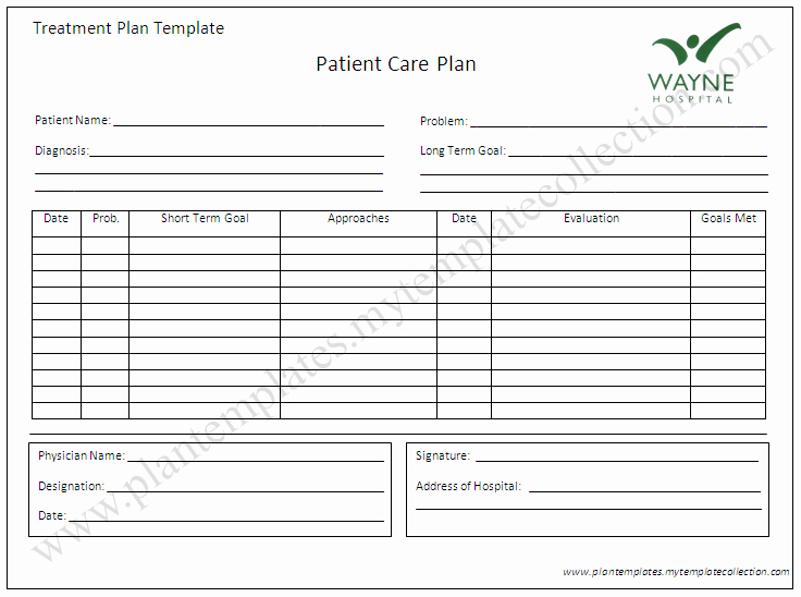 Plan Of Care Template Elegant Treatment Plan Template