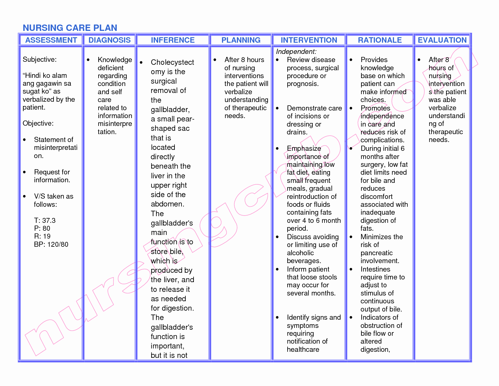 Plan Of Care Template Fresh Adpie