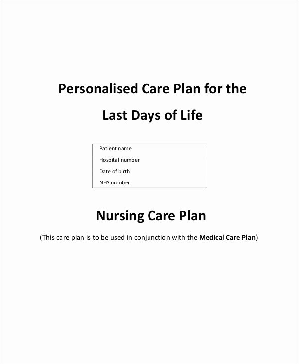 Plan Of Care Template Fresh Care Plan Template 15 Pdf Word format Download
