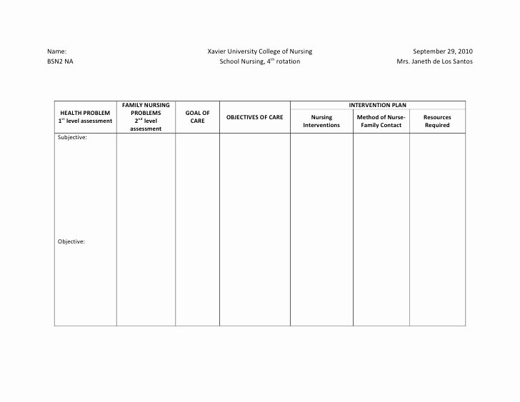 Plan Of Care Template Lovely Ncp format