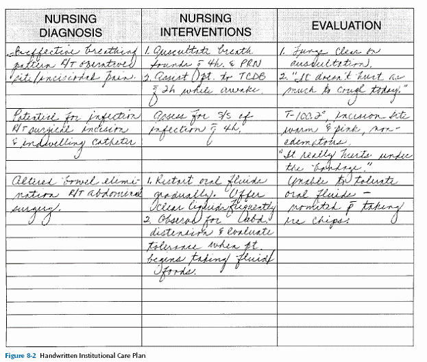 Plan Of Care Template New Planning Nursing Care