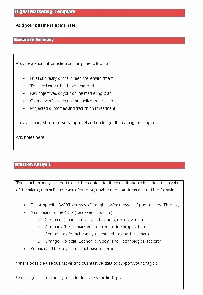 Political Campaign Plan Template Pdf Awesome Non Profit Marketing Campaign Template Campaign Plan