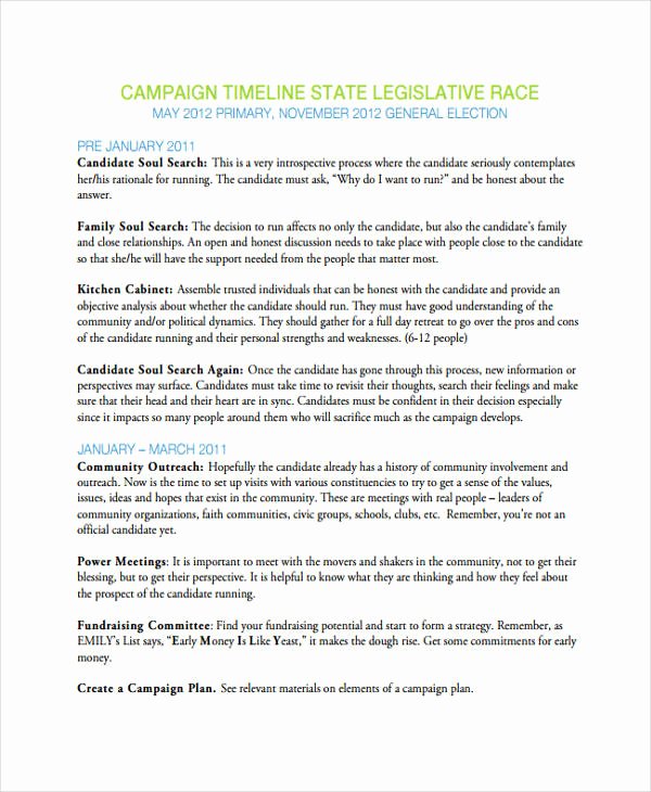 Political Campaign Plan Template Pdf Inspirational 26 Timeline Templates In Pdf