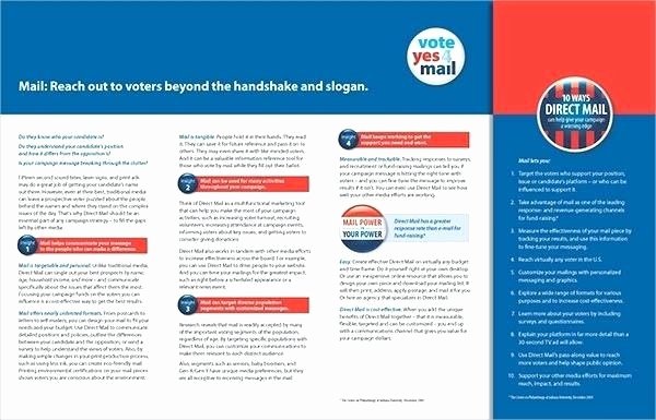 Political Campaign Plan Template Pdf Luxury Election Brochure