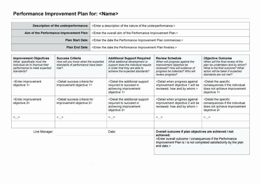 Process Improvement Plan Template Best Of Non Medical Home Care Business Plan Template Best