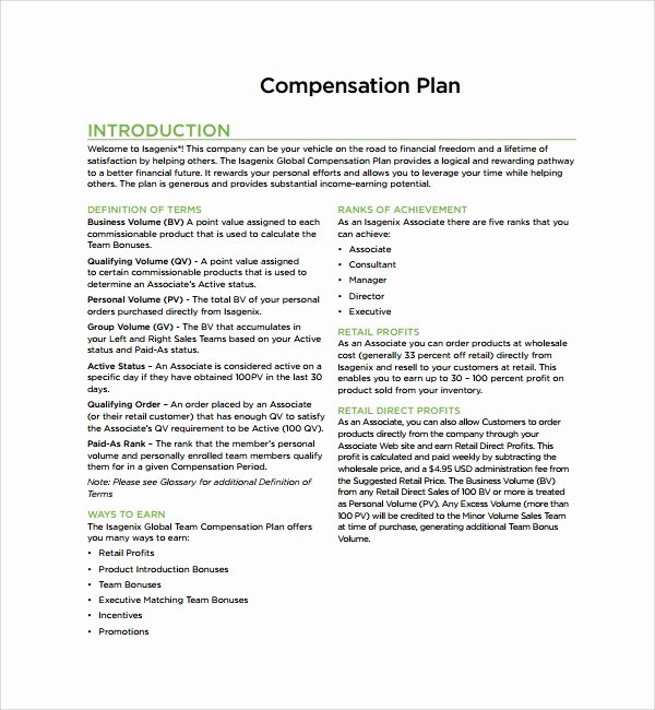 Professional Compensation Plan Template Lovely Sample Pensation Plan Template 8 Free Documents In