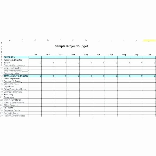 Professional Compensation Plan Template New total Pensation Package Template