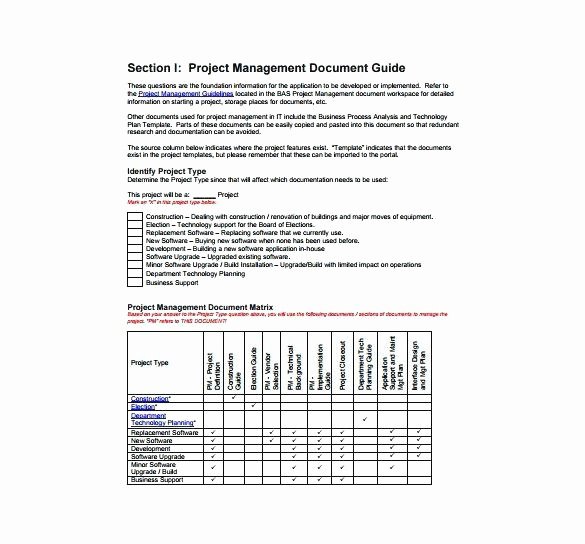 Program Management Plan Template Luxury Configuration Management Plan Template Free Sample