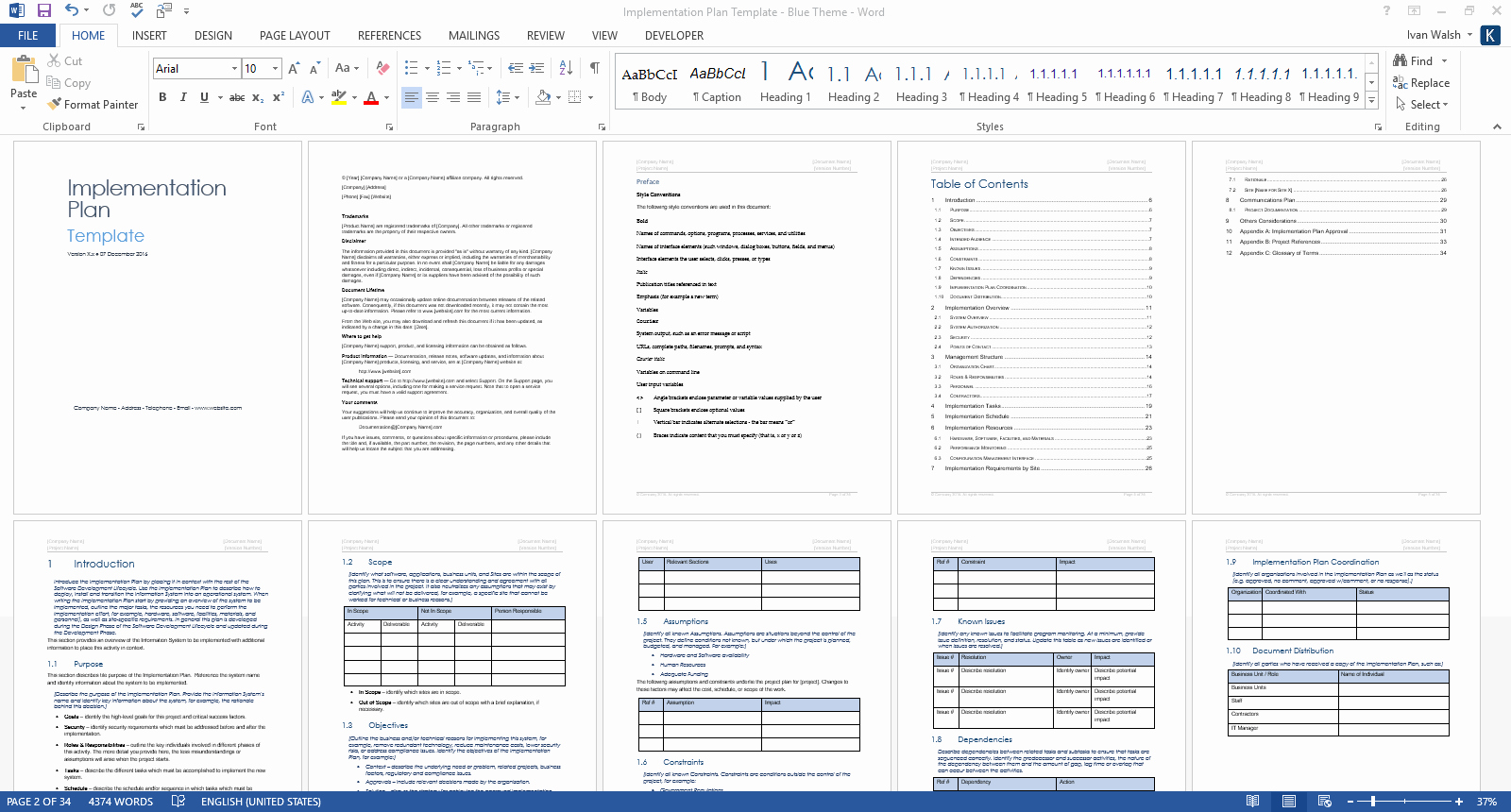 Programme Implementation Plan Template Lovely Implementation Plan Template Ms Word
