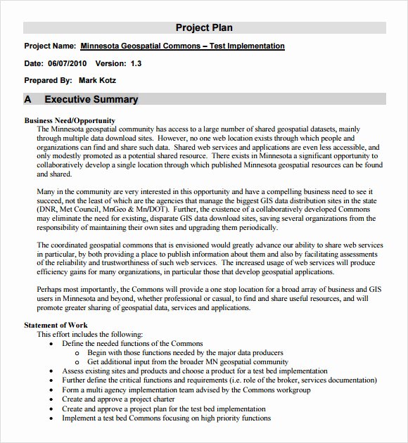 Project Plan Template Word Elegant Project Outline Template 9 Download Free Documents In