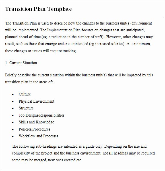 Project Transition Plan Template Best Of 9 Transition Plan Samples