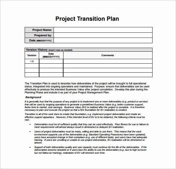 Project Transition Plan Template Excel Elegant 12 Transition Plan Template Ai Psd Google Docs Apple