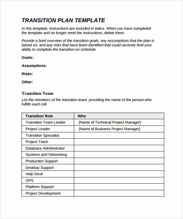 Project Transition Plan Template Excel New 9 Sample Transition Plans – Pdf Word Pages