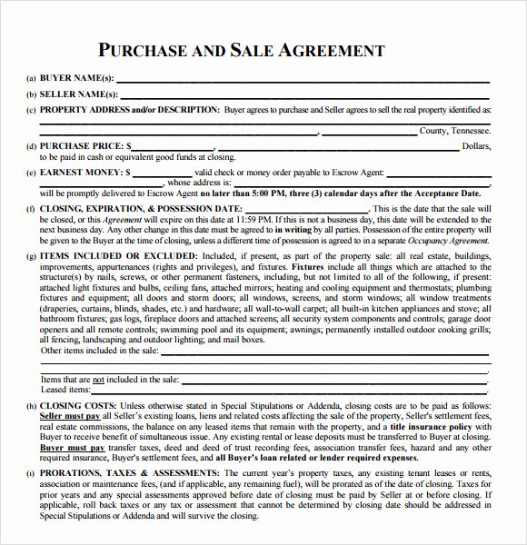 Real Estate Buyout Agreement Sample Elegant Sample Real Estate Purchase Agreement 7 Examples format