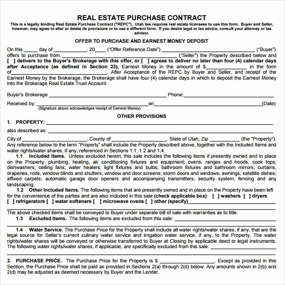 Real Estate Buyout Agreement Sample Lovely Sample Real Estate Purchase Agreement 7 Examples format