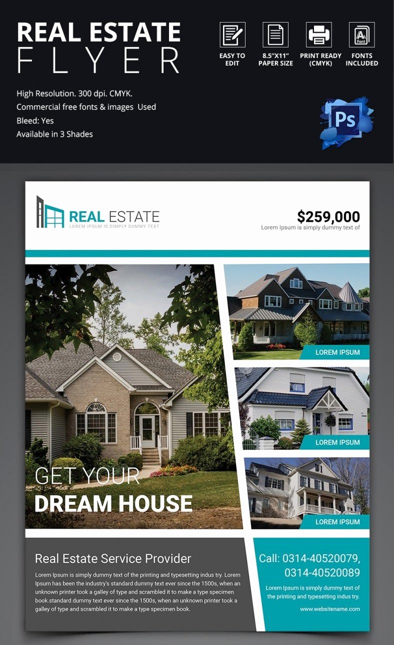 Real Estate Marketing Plan Template Luxury 44 Psd Real Estate Marketing Flyer Templates