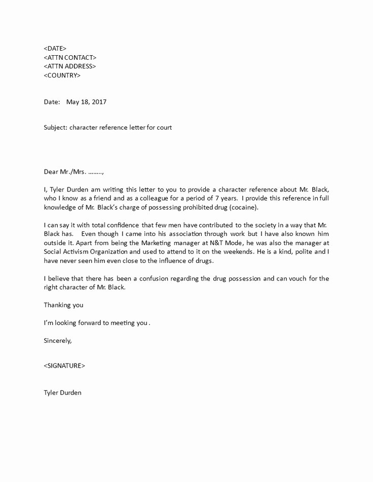 Recommendation Letter for Court New Best 25 Personal Reference Letter Ideas On Pinterest