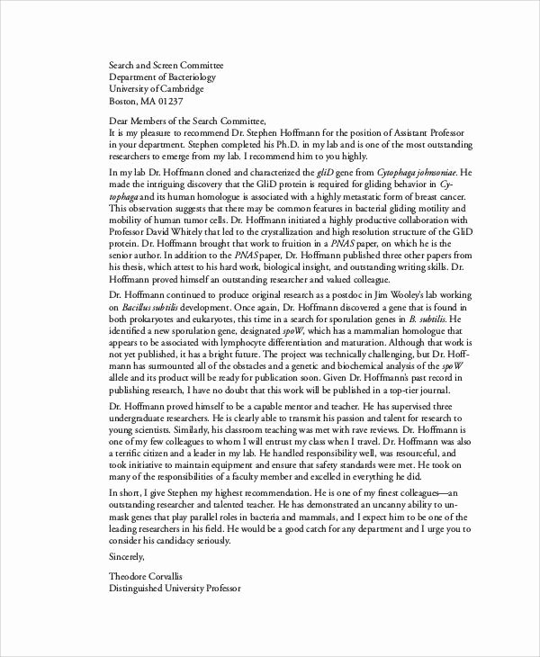 Recommendation Letter for Professor Promotion Elegant 11 Professor Re Mendation Letter Samples