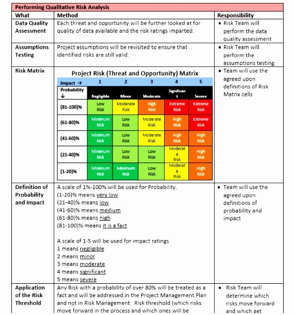 Risk Management Plan Template Pdf Beautiful 9 Project Risk assessment Template Example Autyr