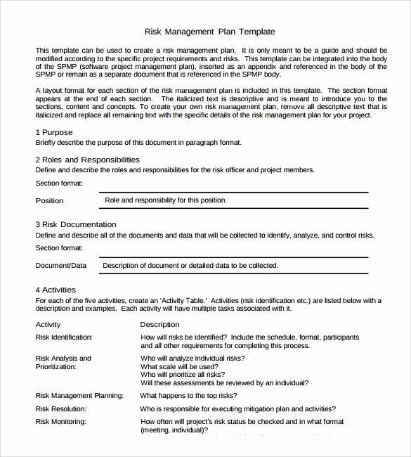 Risk Management Plan Template Pdf New Sample Strategic Plan Template 12 Free Documents In Pdf