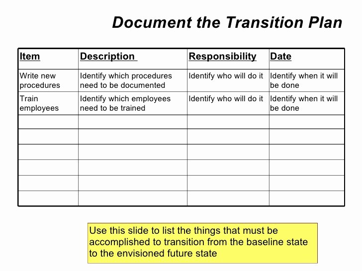 Role Transition Plan Template Lovely Employee Role Transition Plan Template Driverlayer