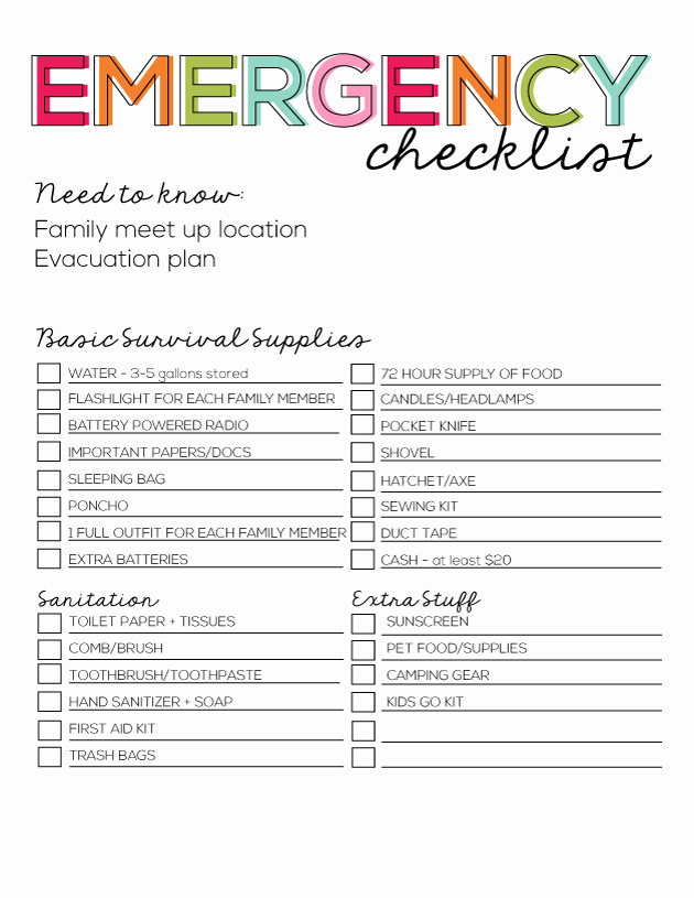 Safety Plan Template for Students Best Of Printable Emergency Checklist