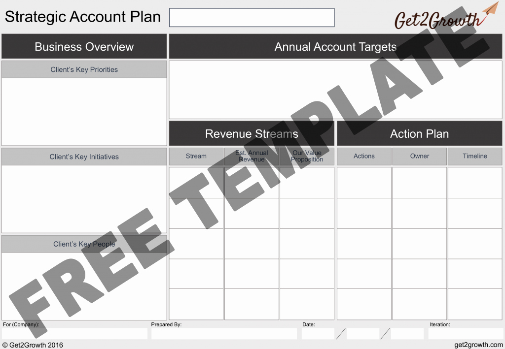 Sales Account Plan Template Best Of the E Page Account Plan Template