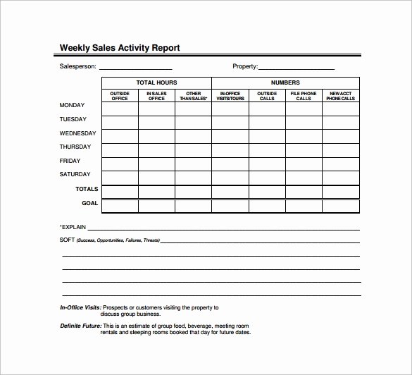 Sales Call Plan Template Beautiful Sample Sales Report Template 7 Free Documents Download