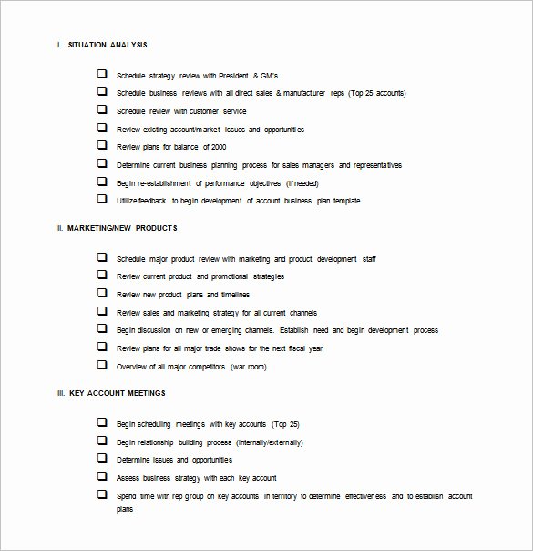Sample Action Plan Template Awesome Sales Action Plan Template 13 Free Pdf Word format