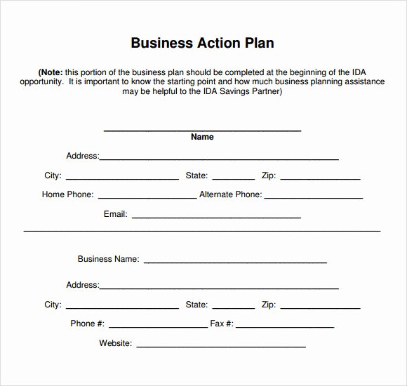 Sample Action Plan Template Elegant 11 Sample Business Action Plans