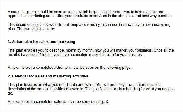Sample Action Plan Template Elegant Sample Sales Action Plan Template 7 Free Documents In