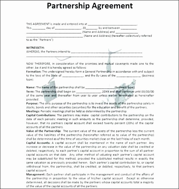 35 Sample Partnership Agreement California Hamiltonplastering