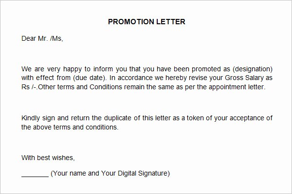 Sample Recommendation Letter for Promotion Inspirational 12 Promotion Re Mendation Letter Examples Pdf