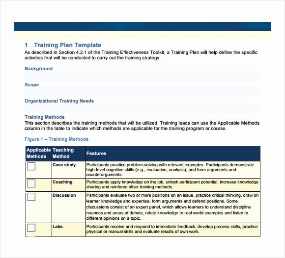 Sample Training Plan Template Unique Sample Training Plan 12 Example format