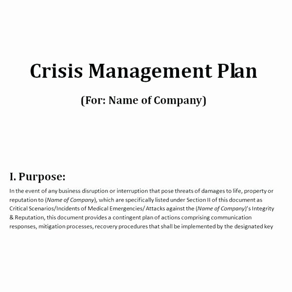 School Crisis Plan Template Best Of Business Management Plan Template