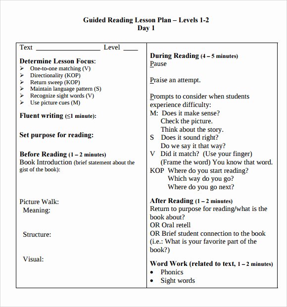 Shared Reading Lesson Plan Template Awesome Guided Reading Lesson Plan Template 8 Download Free