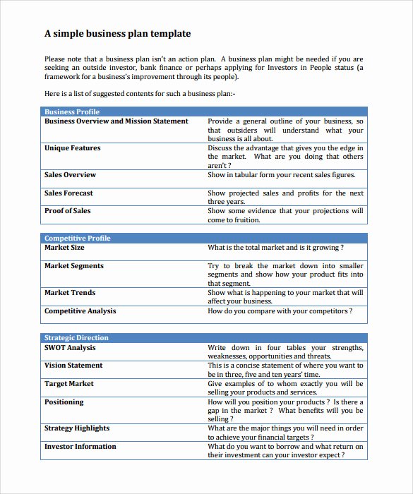 Simple Action Plan Template Lovely 11 Sample Business Action Plans