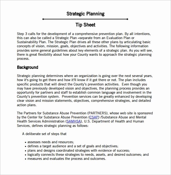Simple Strategic Plan Template Awesome Strategic Action Plan Template 9 Download Documents In