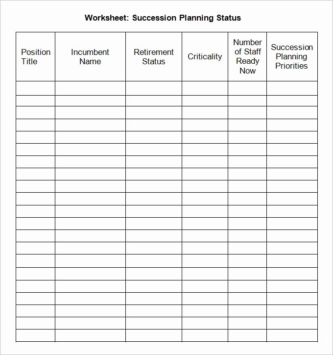 Simple Succession Plan Template New Succession Planning Template