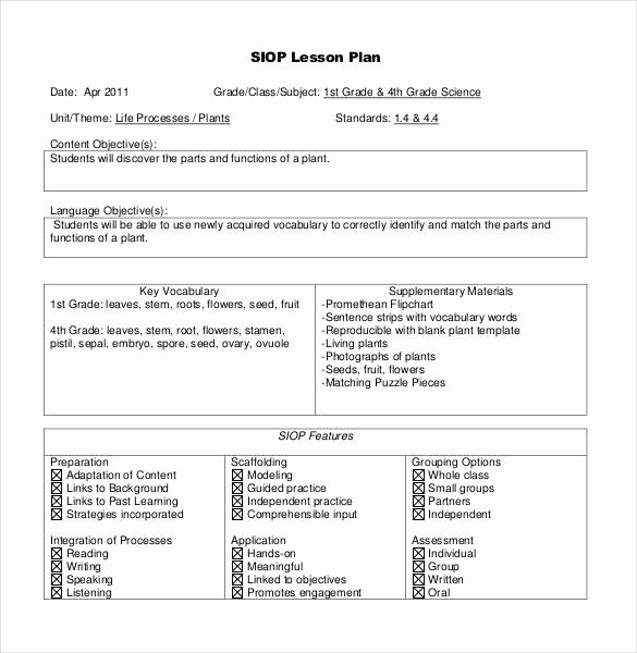 Siop Lesson Plan Template Beautiful 59 Lesson Plan Templates Pdf Doc Excel